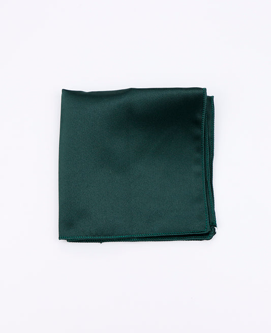 Pochette de Costume Vert n°4 en Polyester «Anatole»