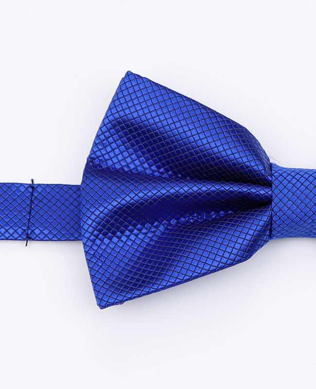 Noeud Papillon Bleu n°2 Homme en Polyester | Martin - Unipap's