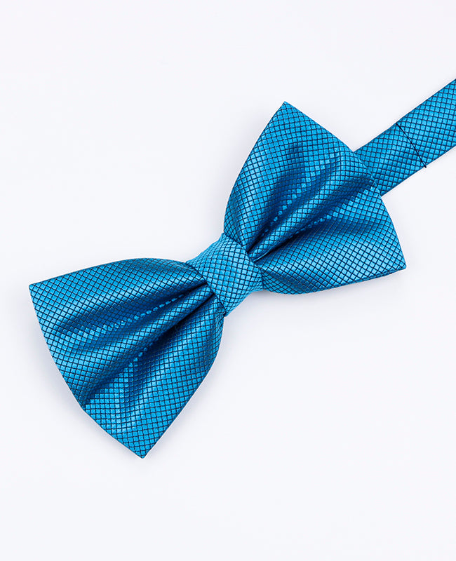 Noeud Papillon Bleu n°5 Homme en Polyester | Martin - Unipap's