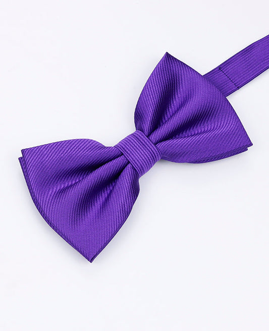Noeud Papillon XL Violet n°1 Homme en Polyester | Lucien - Unipap's